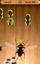 Beetle Smasher - Android Game Source Code Screenshot 5
