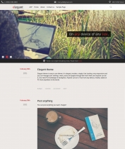 Elegant - Responsive WordPress theme with CMS Screenshot 1