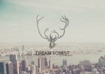 DreamForest - Wordpress Theme With CMS Screenshot 7