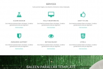 Baleen - One Page Bootstrap HTML Template Screenshot 5