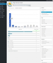 mySTAT - Site Visitor Statistics WordPress Plugin Screenshot 5