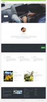 Avien - Wordpress Portfolio Business Theme Screenshot 1
