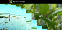 jQuery Image and Content Slider Screenshot 4