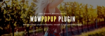 WowPopup - WordPress Popup Plugin Screenshot 22