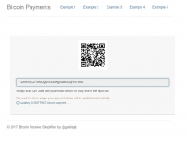Blockchain Bitcoin Payments PHP Script Screenshot 3