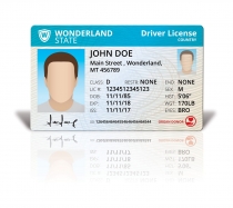 Driver License Mock Up Screenshot 1
