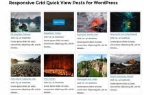 Responsive Grid Quick View Posts for WordPress Screenshot 7