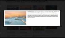 Responsive Grid Quick View Posts for WordPress Screenshot 8