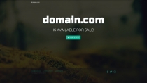 DomainSale - Landing Website PHP Script Screenshot 1
