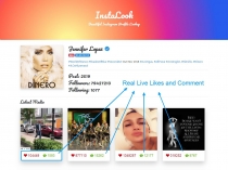 InstaLook - Instagram Profile Lookup Script Screenshot 5