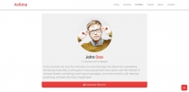 Avila - One Page Portfolio Bootstrap Template Screenshot 8