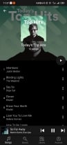 Music Streaming - Android  App Template  Screenshot 10