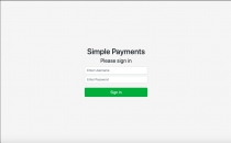 Simple Payments - Payment Gateway Script Screenshot 8