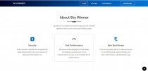 SkyWinner  - Website Landing Webpage PHP Screenshot 3