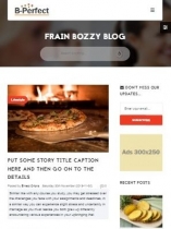 Orion Blog - Super Bloggers Choice with Video CMS Screenshot 7