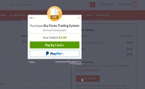 Paddle Payment Gateway For WooCommerce WordPress Screenshot 5