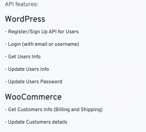 WP JSON API Plugin for WordPress REST API Screenshot 1