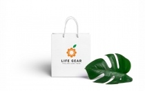 Life Gear Logo Screenshot 2