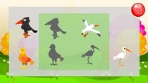 Edukida Birds Shapes Unity Kids Educational Game Screenshot 3