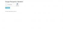reCaptcha Validator PHP Script Screenshot 1