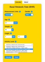 Basal Metabolic Rate BMR Calculator WordPress Screenshot 1