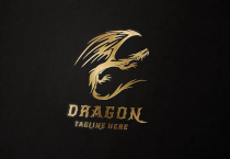 Dragon Company Logo Screenshot 1