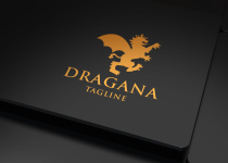 Dragon Pro Logo Screenshot 3