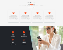 Epicons - Agency Landing Page Template Screenshot 2