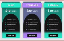 ZPricing - Modern Bootstrap Pricing Table Screenshot 4