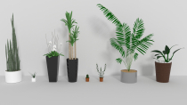 3D Indoor pot plants Model for Gaming Screenshot 1
