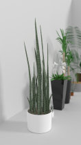 3D Indoor pot plants Model for Gaming Screenshot 2