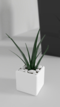 3D Indoor pot plants Model for Gaming Screenshot 3
