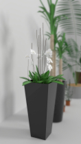 3D Indoor pot plants Model for Gaming Screenshot 4