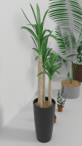 3D Indoor pot plants Model for Gaming Screenshot 5