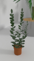 3D Indoor pot plants Model for Gaming Screenshot 7