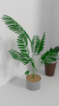 3D Indoor pot plants Model for Gaming Screenshot 8
