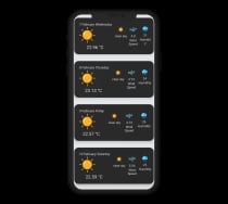 Weather App Android Screenshot 2