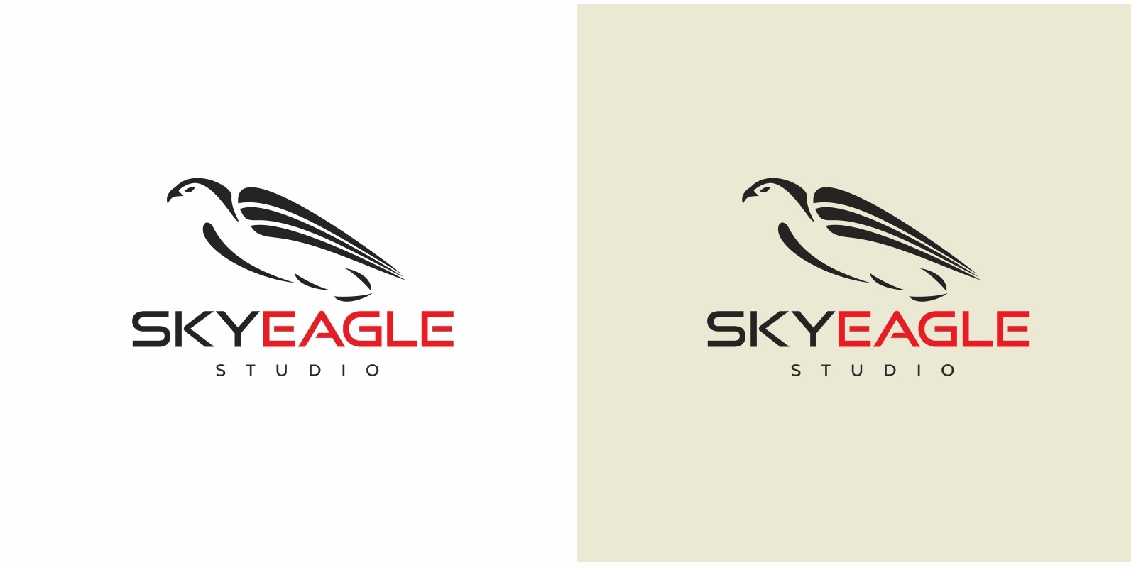 sky eagle logo