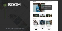 Boom - Creative Personal WordPress Blog Theme Screenshot 1