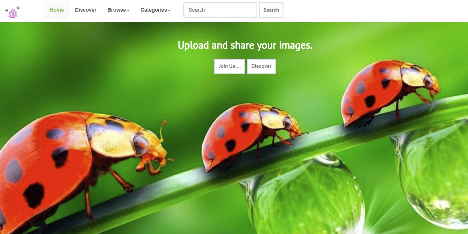 Pixel - Image Sharing Script