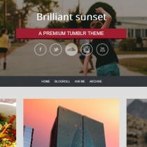 Deemme - Premium Tumblr Theme Screenshot 2