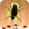 Beetle Smasher - Android Game Source Code