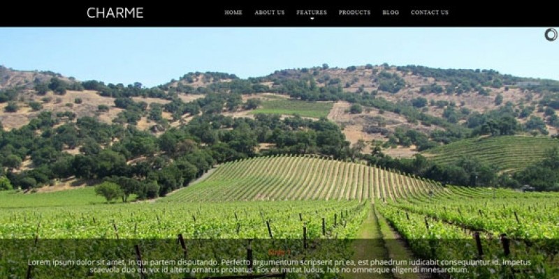 Charme - Winery And Wines WordPress Theme
