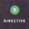 directive-one-page-responsive-wordpress-theme