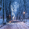 dreamforest-wordpress-theme-with-cms
