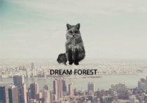 DreamForest - Wordpress Theme With CMS Screenshot 6
