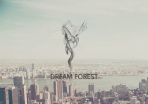 DreamForest - Wordpress Theme With CMS Screenshot 8