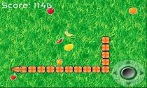 Fruity Snake - Android Game Source Code Screenshot 1