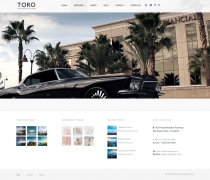 Toro - Wordpress Business Portfolio Theme Screenshot 2
