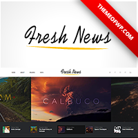 FreshNews - Wordpress News Theme